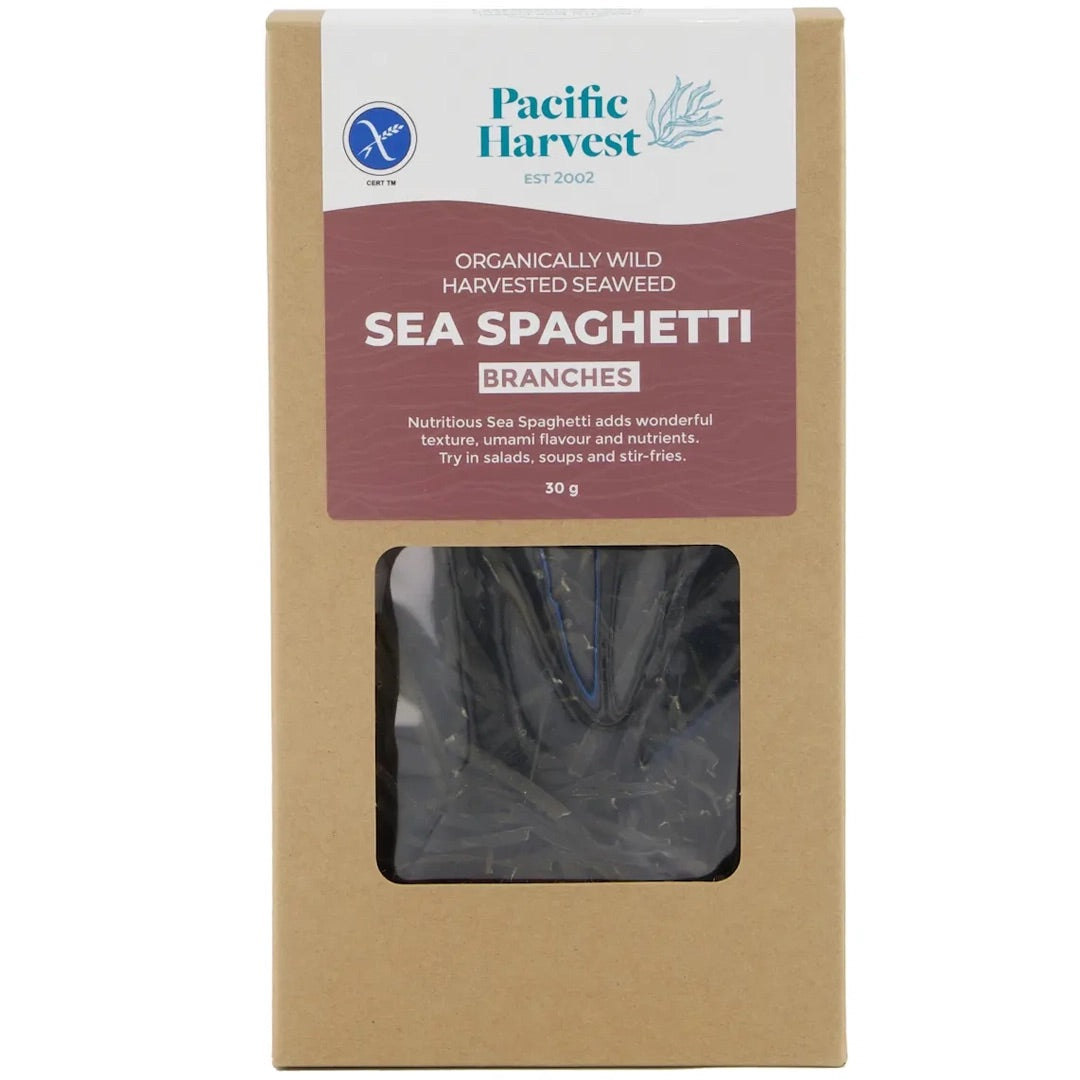 Pacific Harvest Sea Spaghetti Seaweed Branches