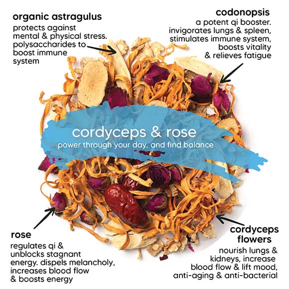 Qisane Cordyceps & Rose