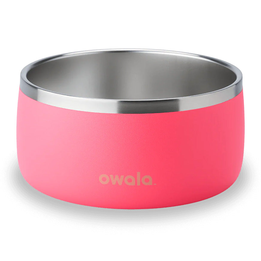 Owala Pet Bowl Stainless Steel