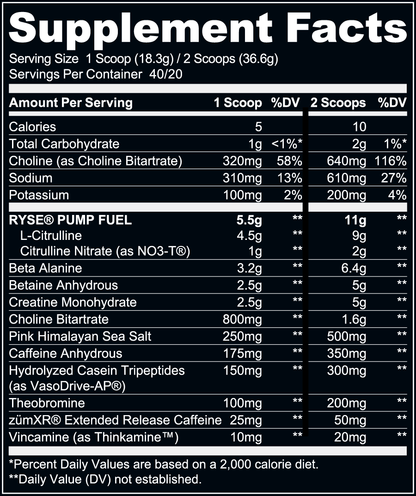 Ryse Up Supplements Godzilla Pre-Workout